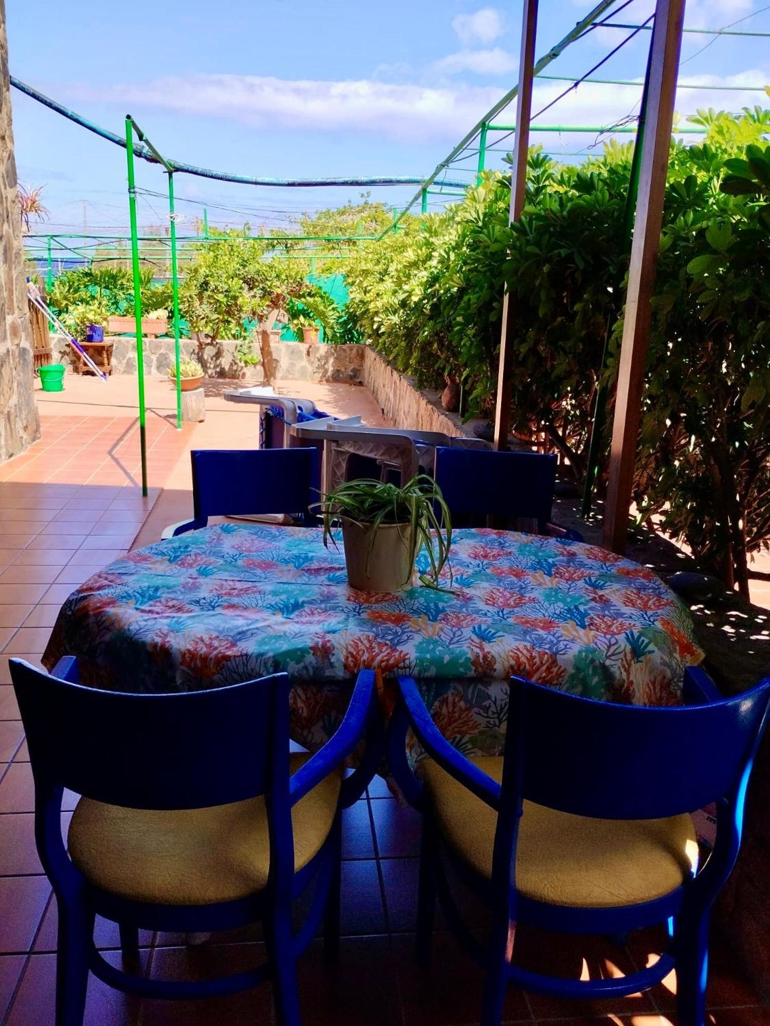Apartamentos Buen Leon Playa de Tasarte المظهر الخارجي الصورة