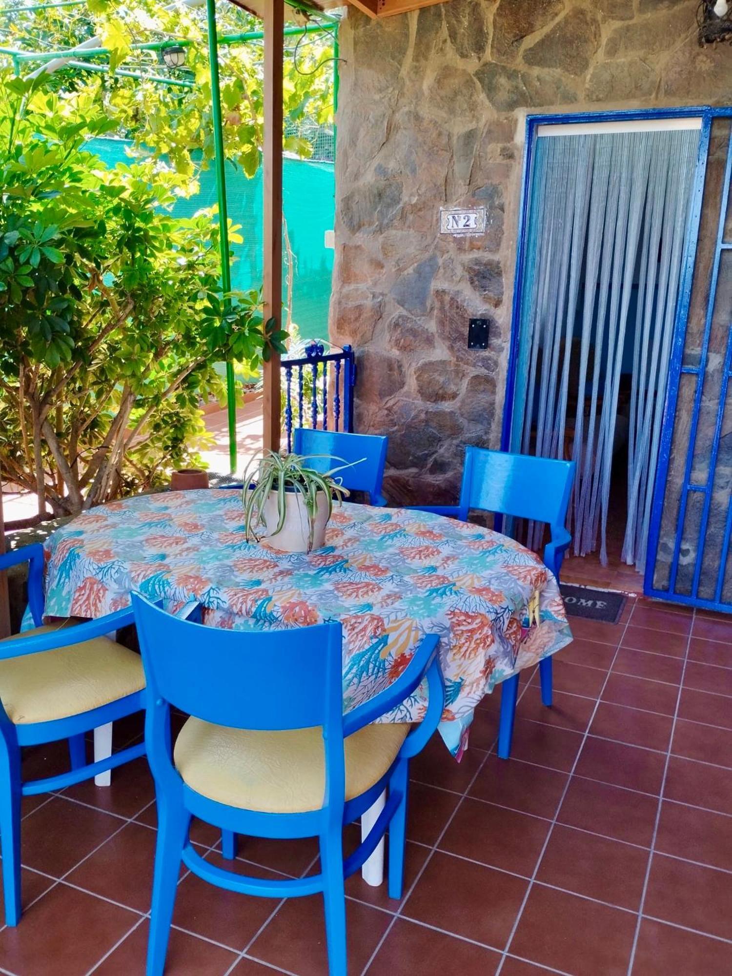 Apartamentos Buen Leon Playa de Tasarte المظهر الخارجي الصورة
